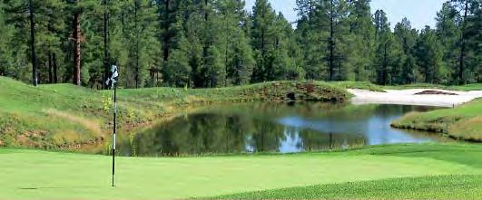Torreon Master Planned Golf Community - Project Amenities Project Amenities 1,400 acre masterplan in the tall, cool pines of