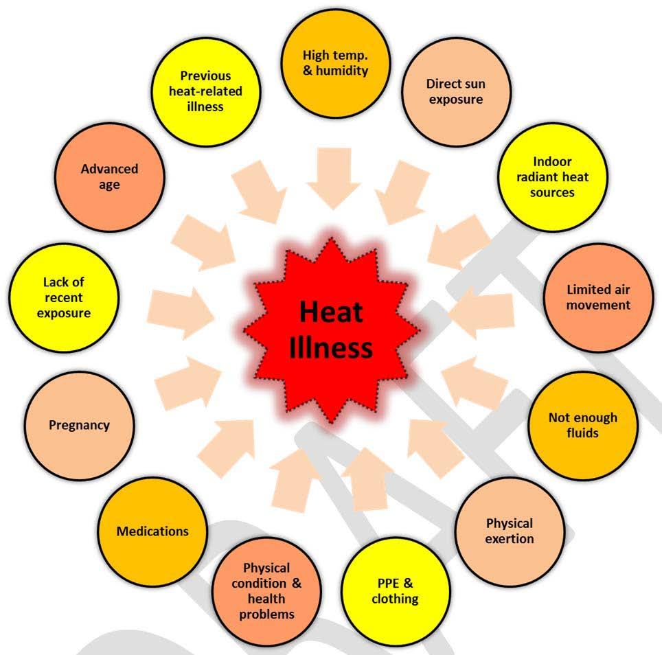 Factors Affecting Heat Response If we cannot cool down?