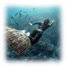 Diving, Spearfishing, Underwater Communication, Underwater 96,00 x Speciality