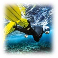 Speciality Course Stress & Rescue 136,00 Dive Guide 144,00 Science of Diving 144,00