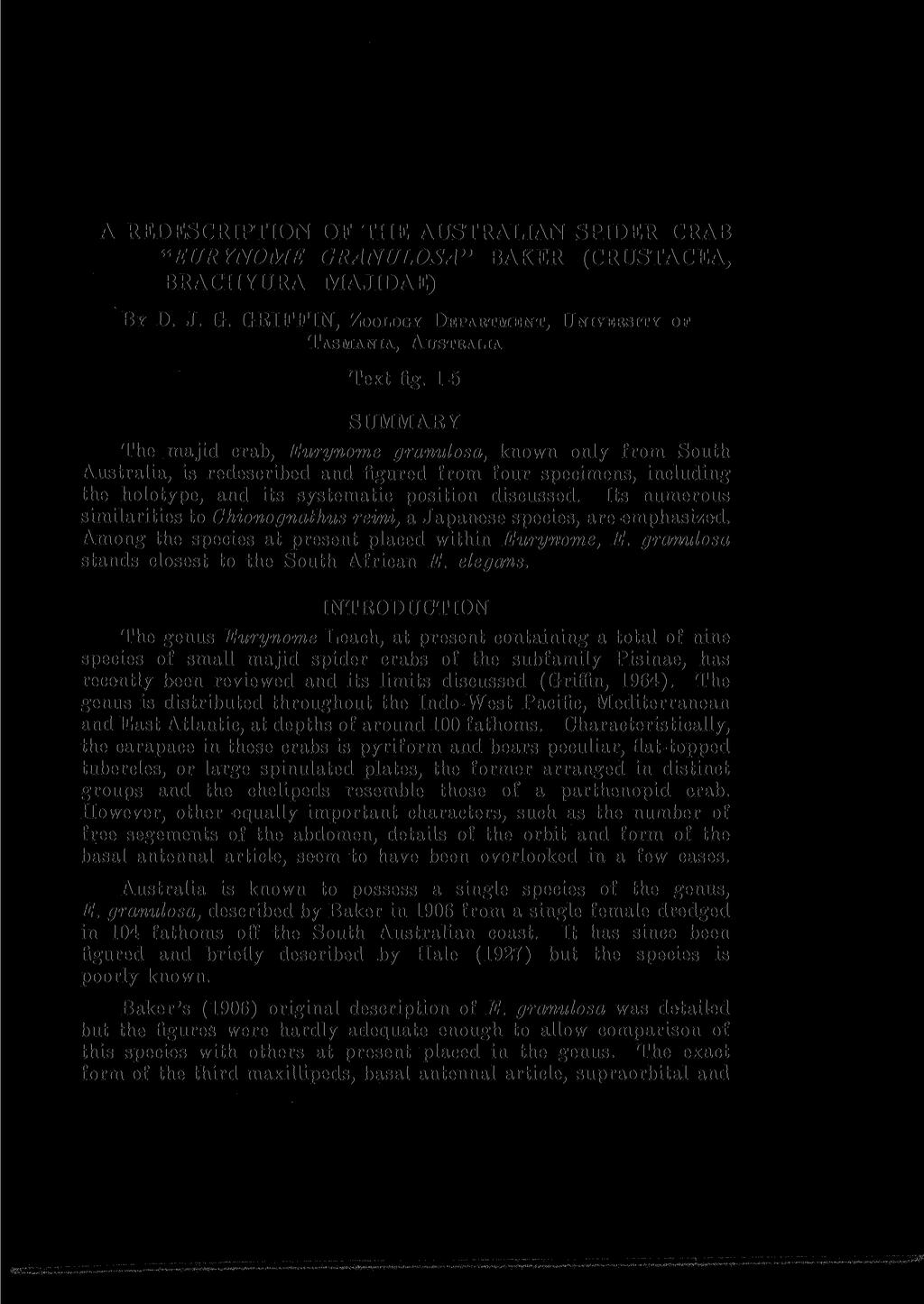 A REDESCRIPTION OF THE AUSTRALIAN SPIDER CRAB "EURYNOME GRANULOSA" BAKER (CRUSTACEA, BRACHYURA MAJIDAE) By D. J. G. GRIFFIN, ZOOLOGY DEPARTMENT, UNIVERSITY OF TASMANIA, AUSTRALIA Text fig.