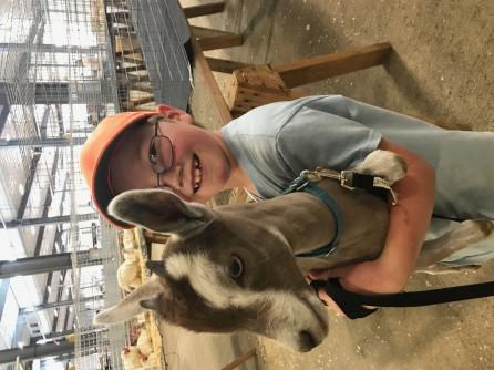 THE COUNTY FAIR One of the highlights of the year for 4-H members is being able to exhibit their completed projects at the Hall County Fair, and then hopefully have their exhibits selected for the