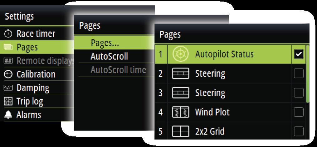 3 Pages The Triton 2 includes 16 predefined data pages. In addition to these pages there are 13 template pages that can be used for creating user defined pages.