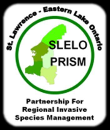 Partnerships for Regional Invasive Species Management;