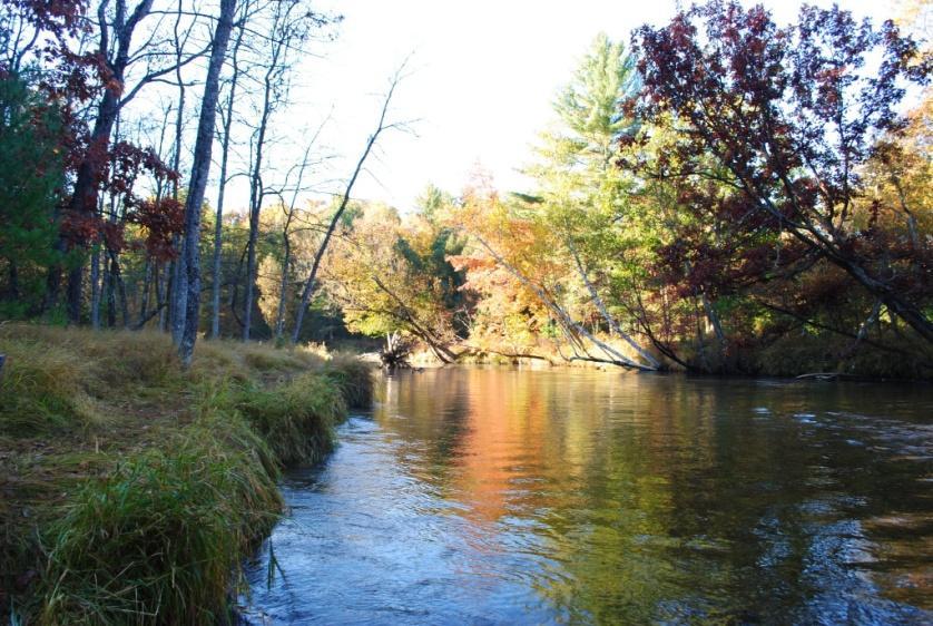 Fishing the Pere Marquette continued But the PM has much more too. The PM is loaded with resident brown trout and sporadic rainbows and steelhead smolt.