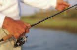 Glossary know your... Rod Butts & Seats, etc. The connection between your rod and reel is frequently overlooked.