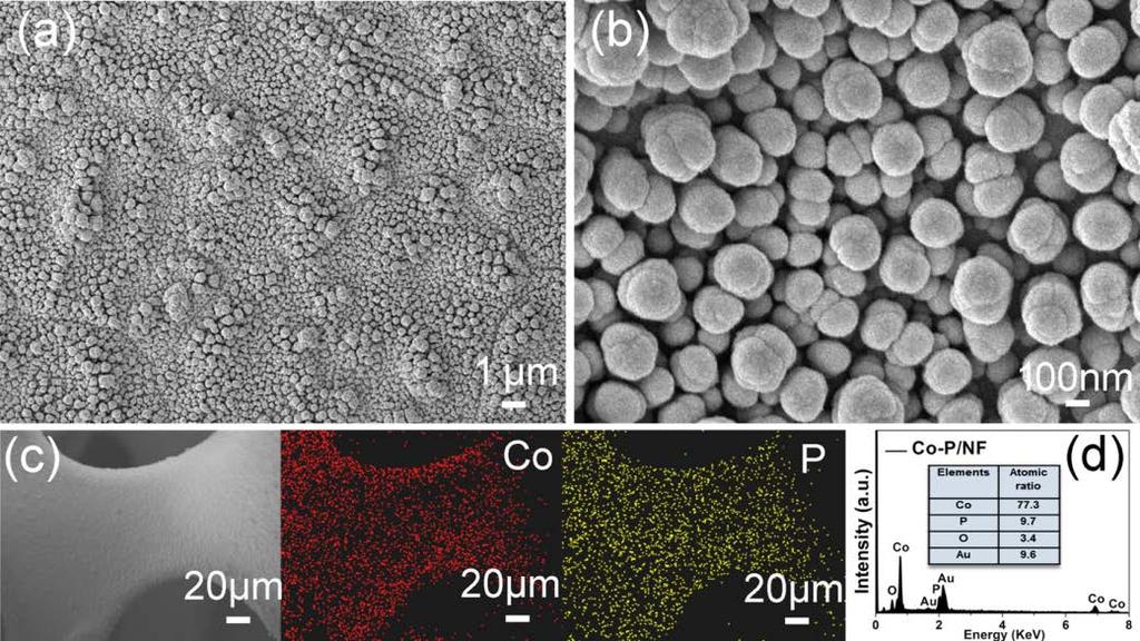Fig. S8 (a) Low- and (b) high-magnification SEM images of Co-P/NF. (c) SEM image and elemental mapping of Co and P. (d) The corresponding EDS spectrum and elemental composition analysis (inset). Fig.