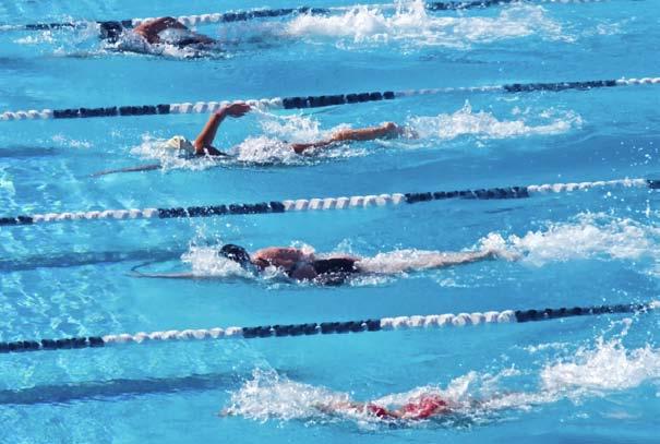 relay race breaststroke