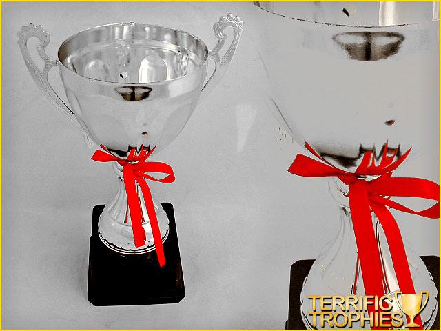 00 SILVER CUP TROPHY + (SMALL) SILVER CUP TROPHY + (MEDIUM) SILVER CUP TROPHY + (LARGE) SKU: A1139C Price: R160.