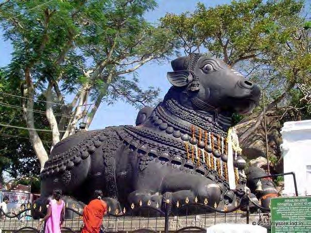 In Mysore Nandi the bull is located at the top of Chamundi hills (Figure 11-12).