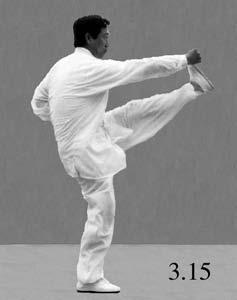 CHAPTER THREE: EMPTY HAND ROUTINES 307 left knee, stabbing it down into the stance. Twist the waist and reach forward into the shoulder, tucking in the buttocks and pressing the head up.