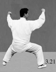 15 White Crane Flashes Its Wings ba ihe lia n chi ACTION 1: Withdraw the left foot a half-step and sit into a horse stance.