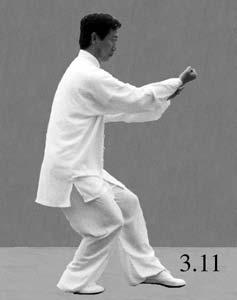 CHAPTER THREE: EMPTY HAND ROUTINES 305 9 Retreat And Restrain tui bu le iqua n ACTION 1: Retreat the right foot a half-step.