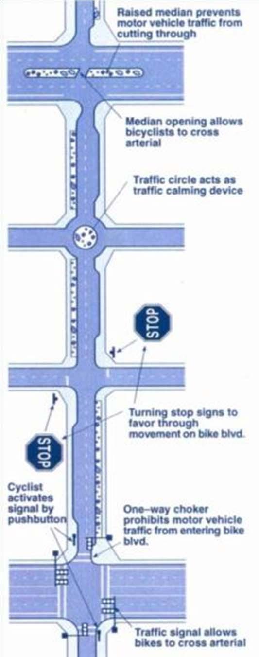 Bike Boulevards Local streets modified to act as through streets for bicyclists Traffic calming reduces speeds &