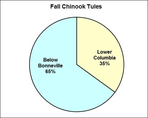 about 8% of the fall Chinook brights released in the Columbia River Basin for out-migration in 20