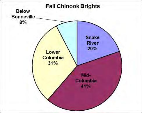 Proportion of hatchery fall Chinook (tules and brights) released into each of the four river zones for out-migration in 2013.