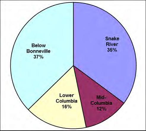 Figure 6.3. Proportion of hatchery spring Chinook released into each of the four river zones for out-migration in 2013.