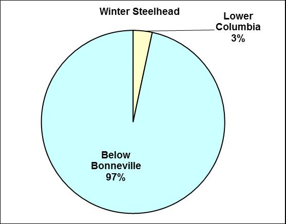 Columbia River zones in 2013. Of the winter steelhead released for the 2013 out-migration, approximately 97% were released in the Below Bonneville River Zone.