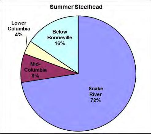 Unlike winter steelhead, the Below Bonneville River Zone only represented 16% of the total summer steelhead release (Figure 6.5).