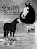 WELCOME THE THE 2011 IOWA PAINT BREEDER S FUTURITY AUCTION SSA LOT NO. 1 ZIPPOS SENSATION APHA 255564 Sire: Zippo Pine Bar Dam: Satin And Lace Simons Show Horses LLC 940.365.