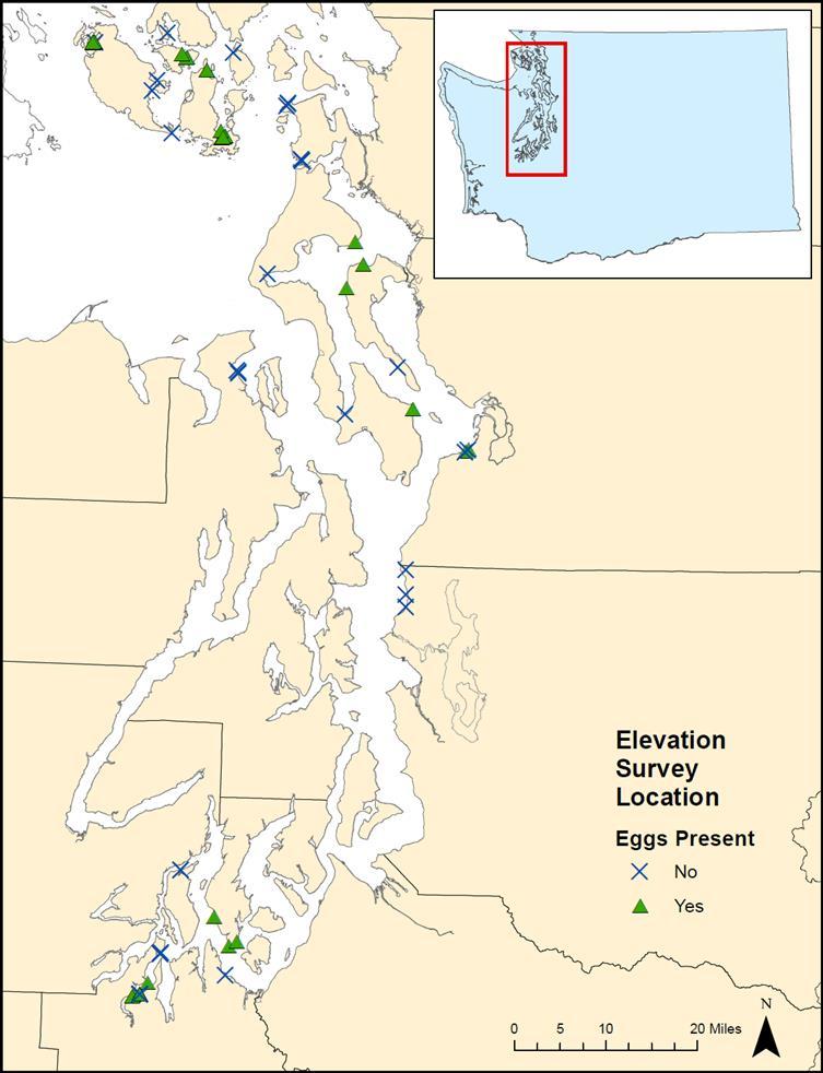 Sample sites 70 Egg bearing samples were collected from three sub regions: San Juan Islands