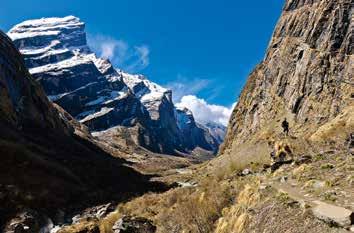 Trek starts from Nayapul through the Gurung cultural villages at Tikhedhunga, Ghorepani, Tadapani, Chhomrung, Deurali to Annapurna Base Camp.