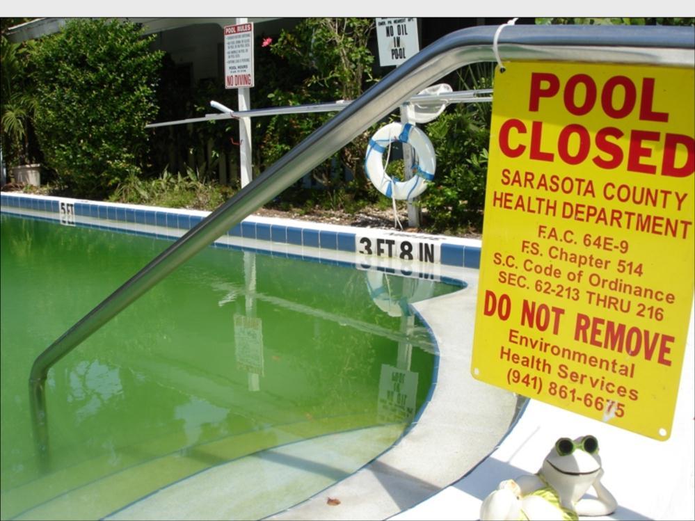 A green pool will