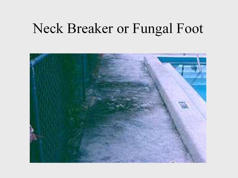 The pool deck needs to be kept clean of mold and mildew.