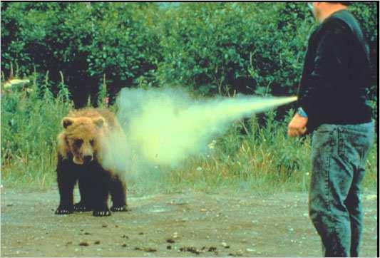 Slide 77 () / 140 20 ear mace can be sprayed to deter a bear attack! The pressure of the gas in the rigid canister is 1900 torr at 30 C.