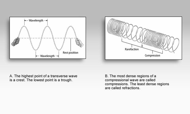Ways waves differ 1. How much energy they carry 2. How fast they travel 3. How they look a.