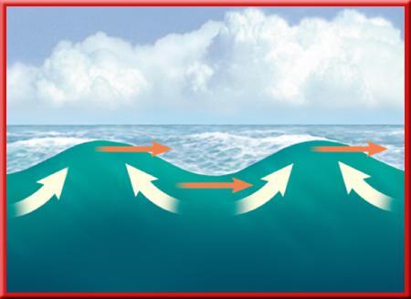 1 The Nature of Waves Water Waves The low point of a water wave is