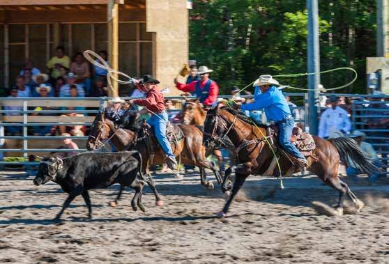 Seeing the preparations leading up to the afternoon s events, and the wind-down following them, provides a more complete story about the cowboy lifestyle