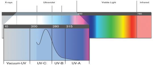 UV Science The Electromagnetic Spectrum Wavelength (m) 10-13 10-12 10-11 10-10 10-9 10-7 10-6 10-3 10 10 5 g Rays X-Rays Ultraviolet Visible Infrared Radio Frequencies UV LIGHT