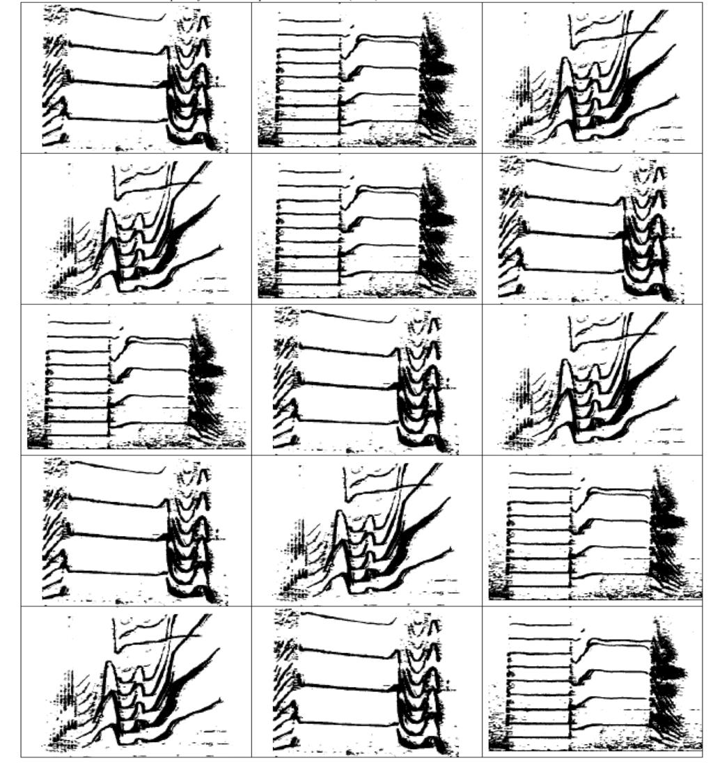 Teacher Sheet Spectrograms 4 Images from: Ford, John K. B. Vocal traditions among resident killer whales (Orcinus orca) in coastal waters of British Columbia.