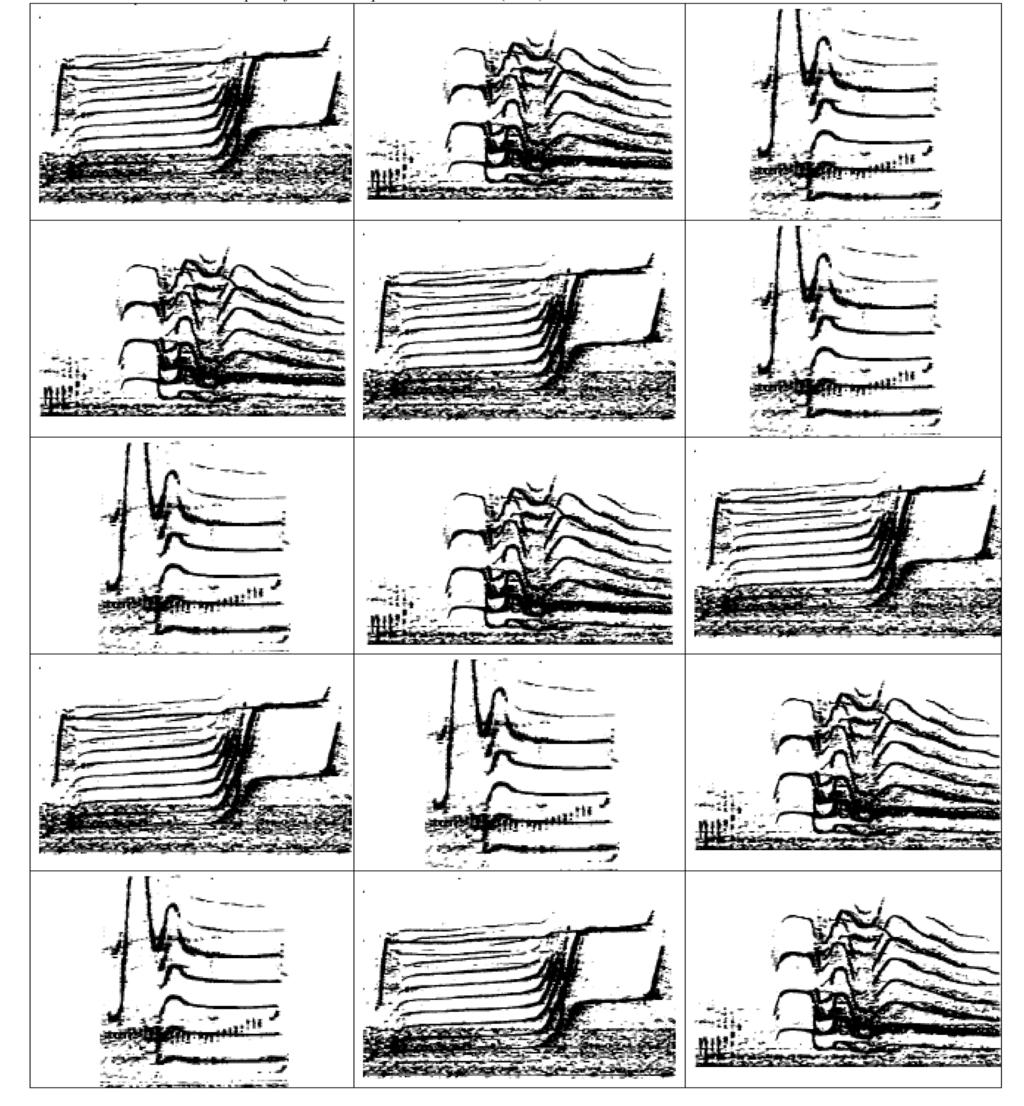 Teacher Sheet Spectrograms 5 Images from: Ford, John K. B. Vocal traditions among resident killer whales (Orcinus orca) in coastal waters of British Columbia.
