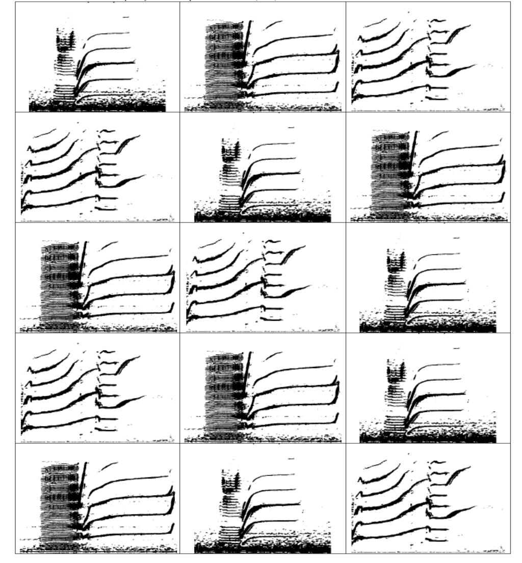 Teacher Sheet Spectrograms 1 Images from: Ford, John K. B. Vocal traditions among resident killer whales (Orcinus orca) in coastal waters of British Columbia.