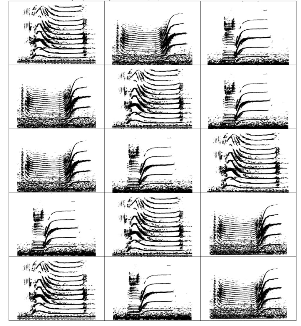 Teacher Sheet Spectrograms 2 Images from: Ford, John K. B. Vocal traditions among resident killer whales (Orcinus orca) in coastal waters of British Columbia.