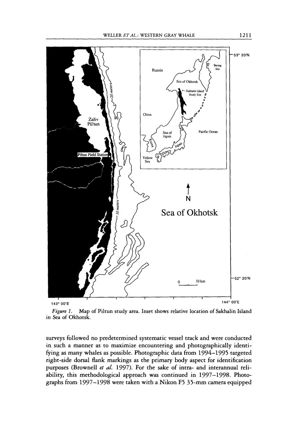 WELLER ETAL.: WESTERN GRAY WHALE 1211 1-53' 20" Pacific Ocean 4 I N Se a of * Okhots 143" OO'E - e - I 10 km -52' 20" 144" OO'E Figure I. Map of Piltun study area.