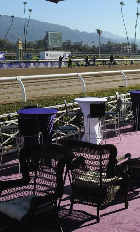 Location, Location, Location: at the rail, next to the Winner s Circle right on the finish line!