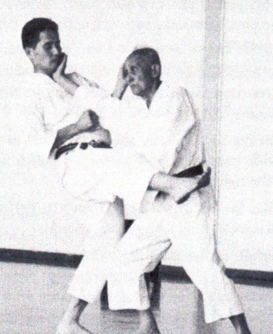 'The true purpose of budo is the search for truth. In karate, three elements are important - physical strength, spirit and heart.
