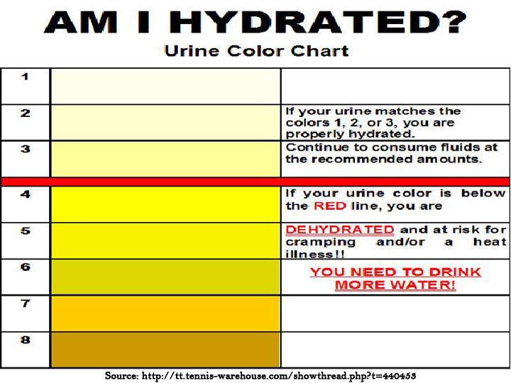 Are You Hydrated?