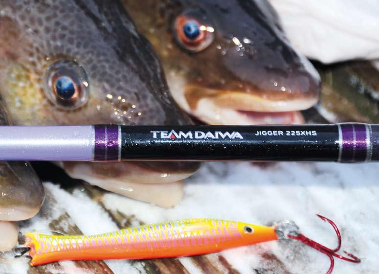 11880-225 11880-272 with soft plastic lures and lightweight pirks the ideal rod for fishing in the Baltic Sea from small boats.