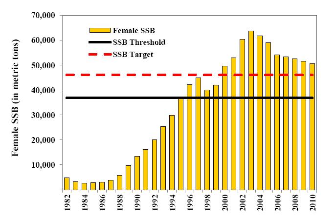 8 Spawning stock biomass (SSB) estimated by the ASMFC was 50,548 mt in 2010, which is higher than both the SSB threshold (36,881 mt) and the SSB target (46,101 mt) (ASMFC 2011b; Figure 2).