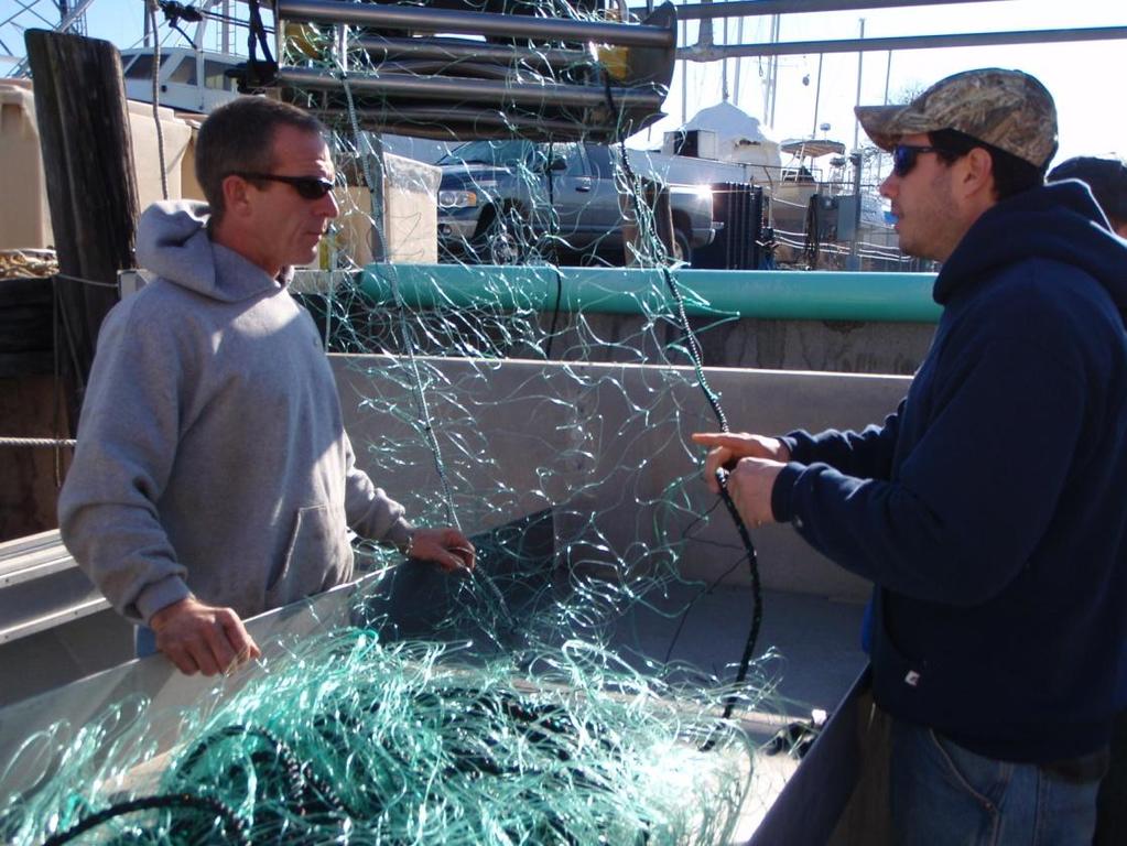 Methods Field Seasons: February to April 2009 and 2010 Fishing Vessels o 4 Commercial gillnets vessels Fishing Gear o Monofilament gillnet constructed by I.M.P.