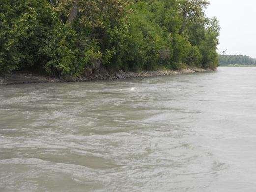 September 28, 2012 Buoy was pushed to bank, tidbits still in 1 foot of water. Data downloads complete at 12:30 ADT.