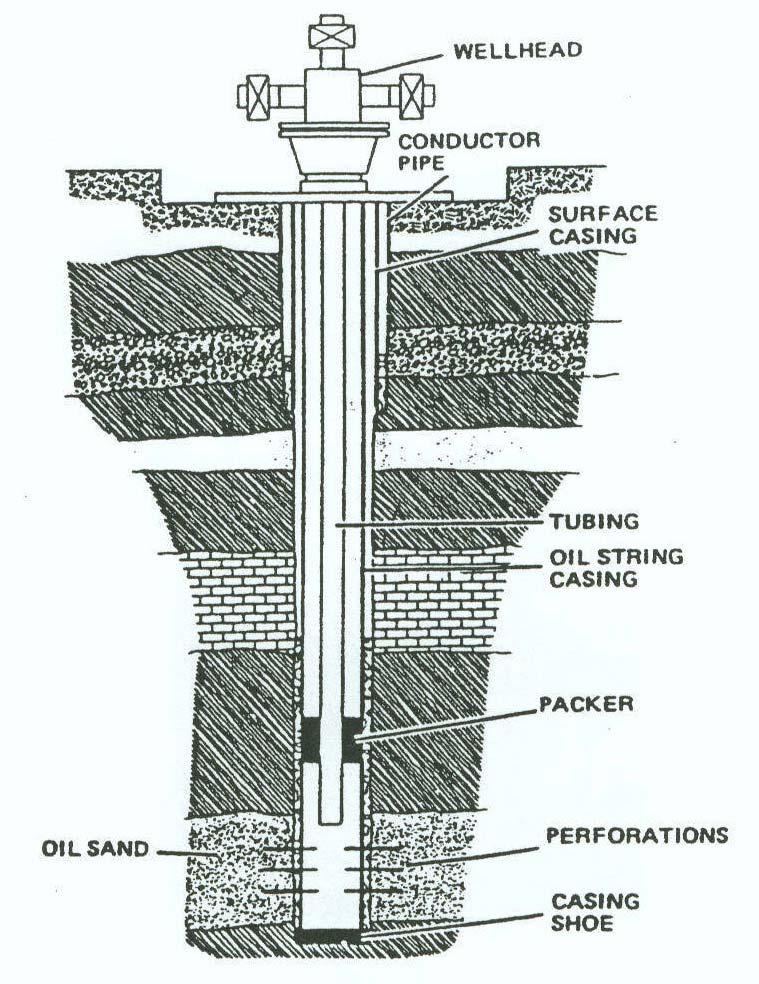 Figure 3 Casing, tubing, and packer arrangement
