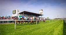 Monday (Bank Holiday) 27th August LADIES DAY 2018 12.30pm 3.00pm Approx 6.