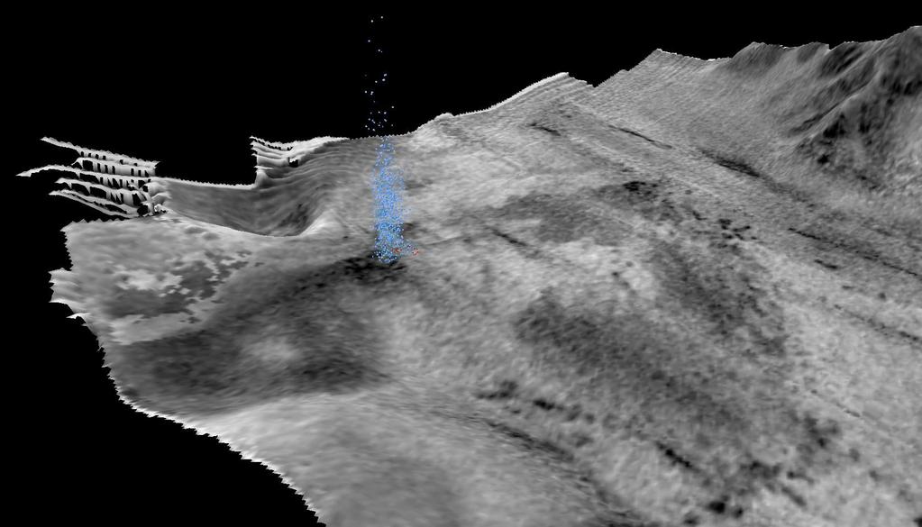 Figure 40: Three-dimensional view of a seep image by the R/V