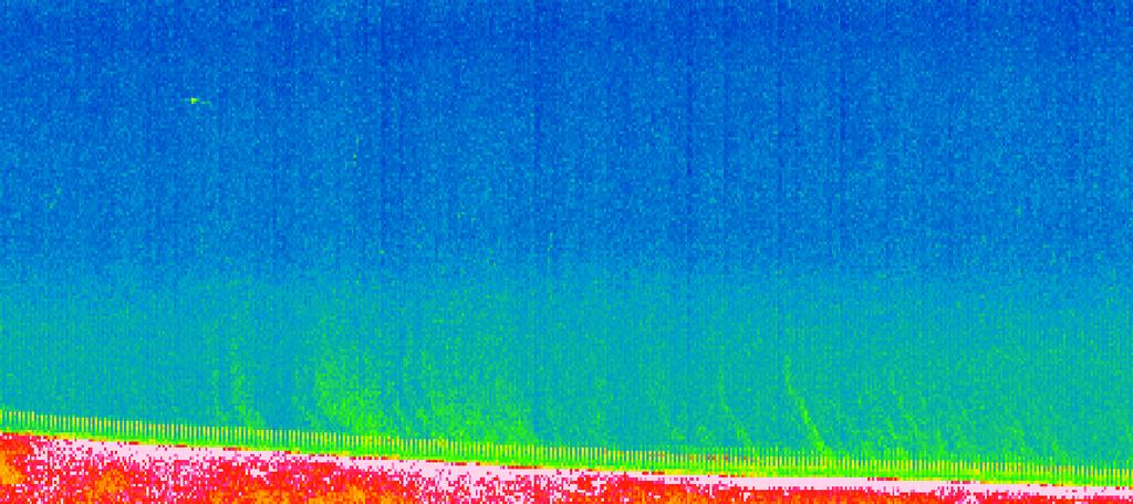 Figure 42: EM302 stacked midwater ping view showing potential seeps (green) rising into the water from the seafloor bottom (light pink layer).