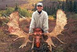 Alaska Trophy Moose Hunt #22 Hunt with a Master Guide, based out of Port Alsworth. All camps are remote tent camps, accessed only by supercubs on wheels.